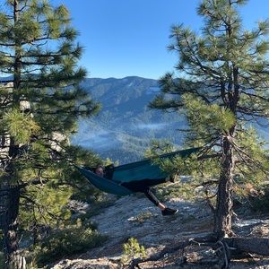 Meet your Posher, Moses